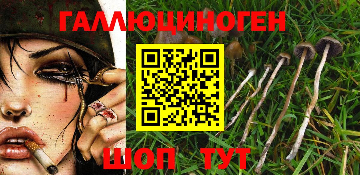 Галлюциногенные грибы мухоморы  Вход с VPN  Галлюциногенные грибы ЛСД  Тулун 
