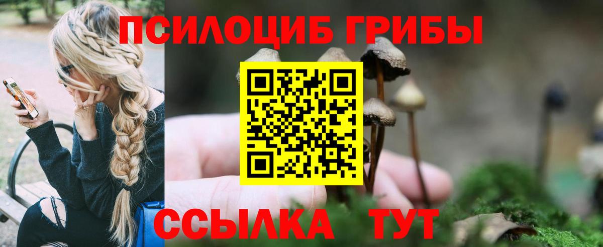 Псилоцибиновые грибы Psilocybine cubensis Тулун